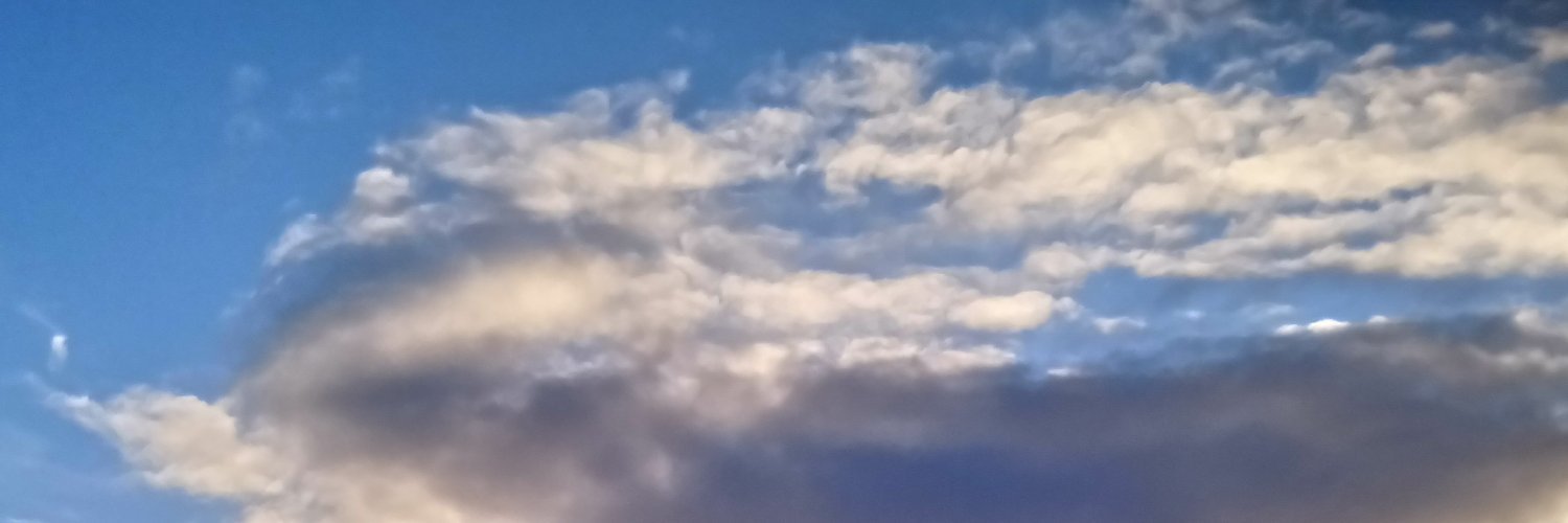 daniishep's profile banner image