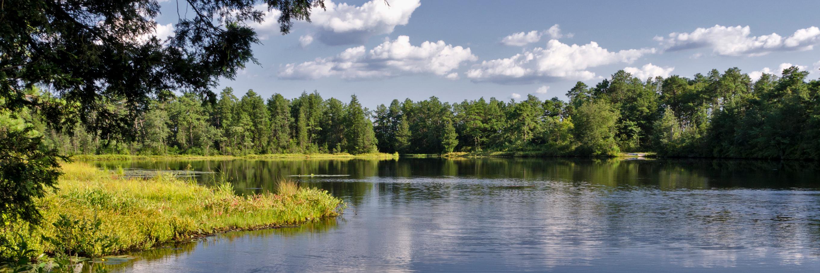 CleanWaterAction NJ banner