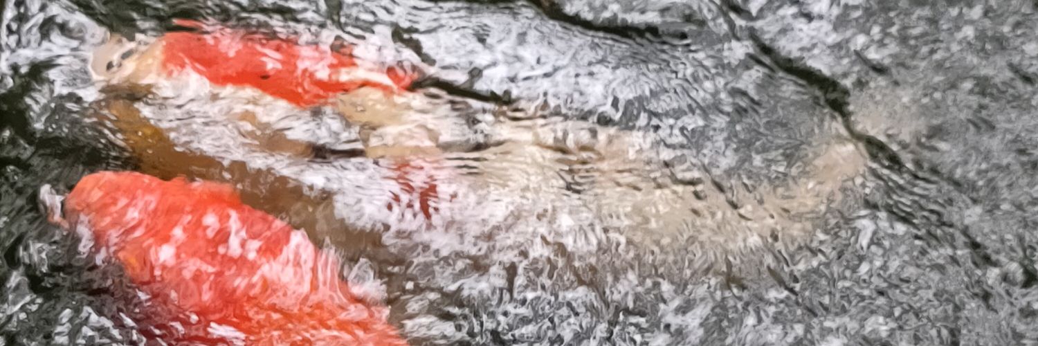 StMemay's profile banner image