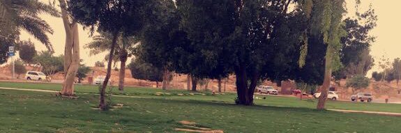 AlMaha1980's profile banner image