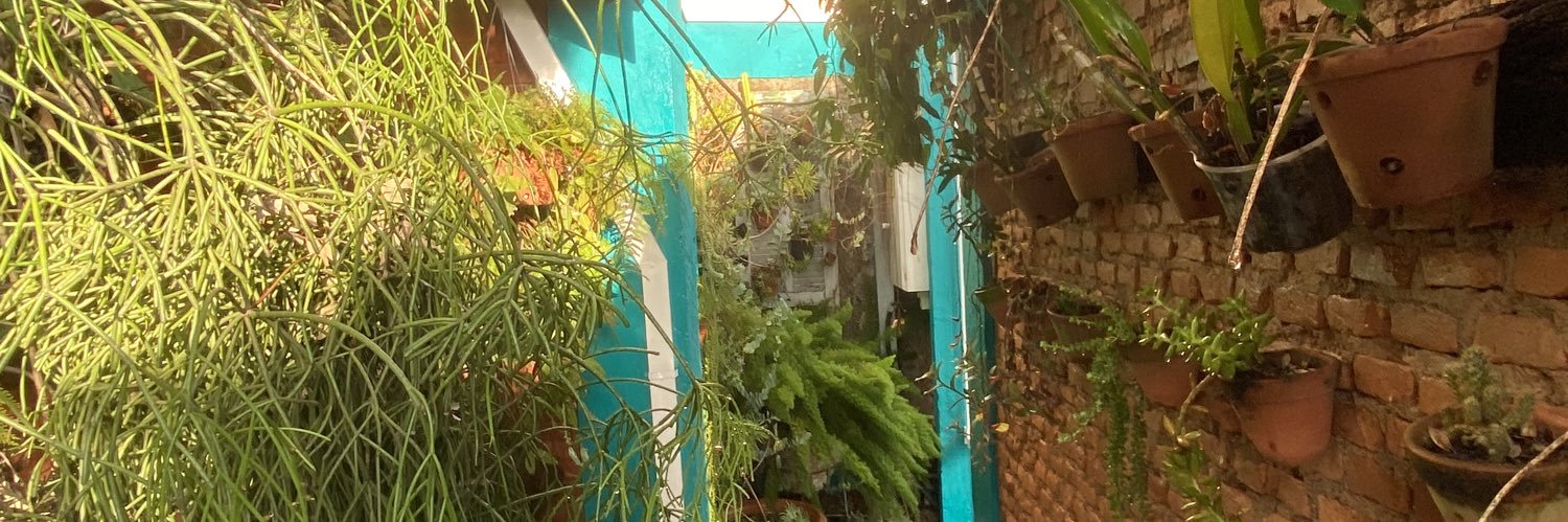 Patrícia Alexandra banner