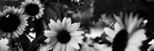 Jordan Cooper banner