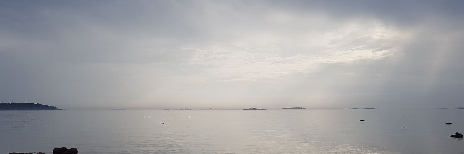 RGiesecke's profile banner image
