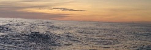 nidafwa's profile banner image