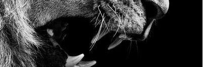 Ntandojm's profile banner image