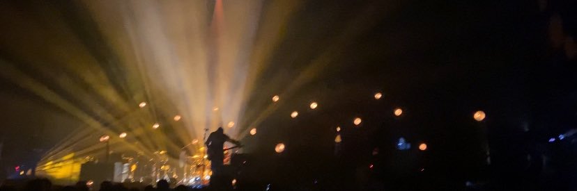 stephanie banner