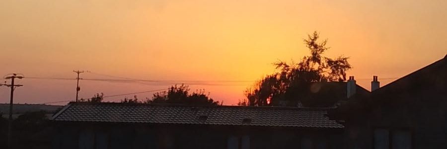 Michelle_Cardle's profile banner image