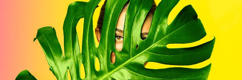 W_VIEQUES's profile banner image