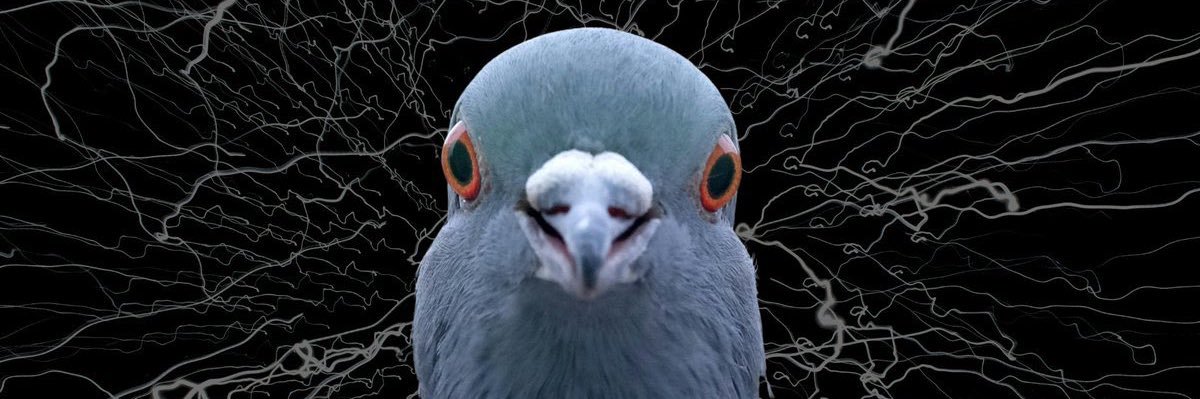 benthosu's profile banner image