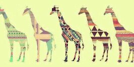 MilaAmeliiaa's profile banner image
