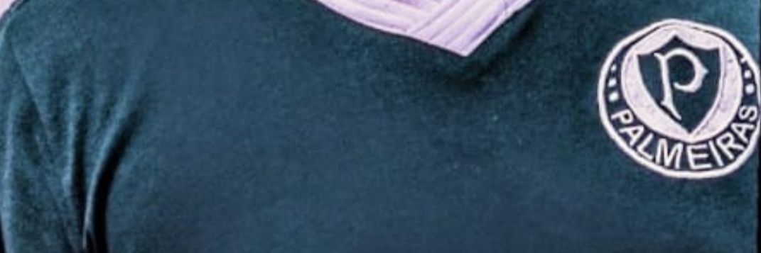 Fethales1914's profile banner image