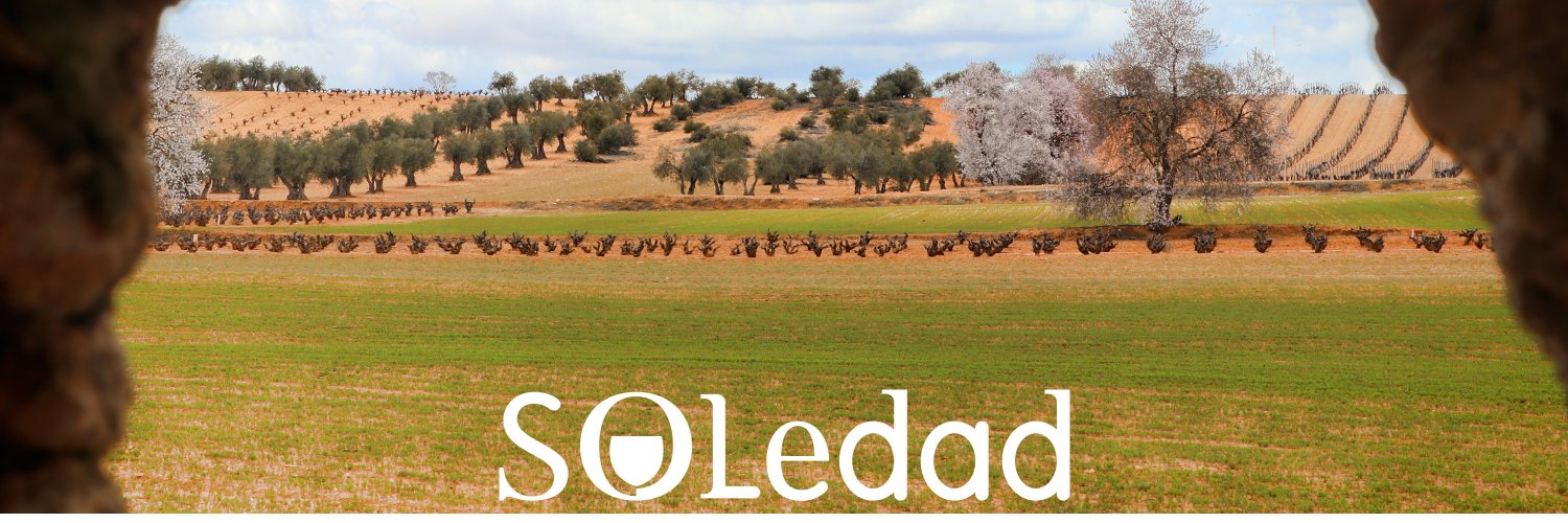 bodegasoledad banner
