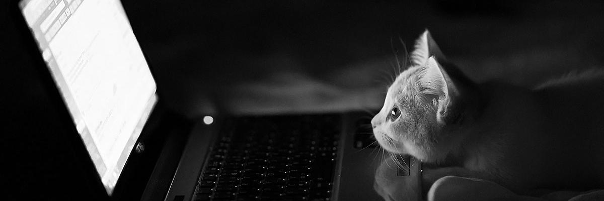 aanabdullah__'s profile banner image
