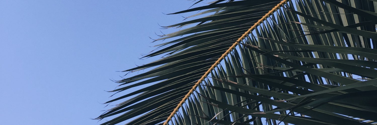 dizzyyz's profile banner image