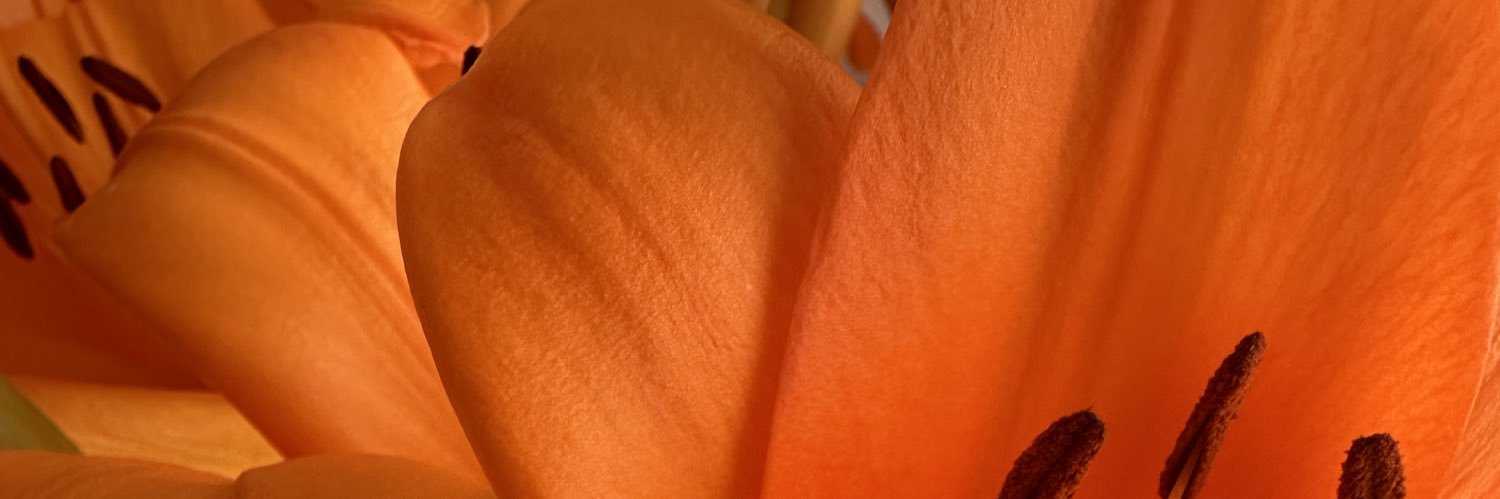 MariaMartinPsic's profile banner image