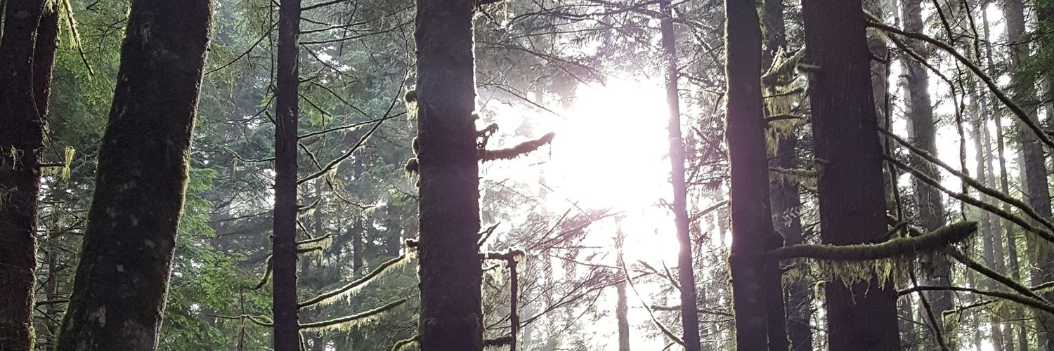 LivingIn_Bliss's profile banner image