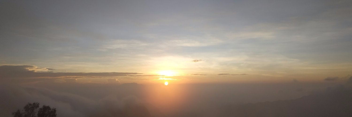 ElonInventorMul's profile banner image