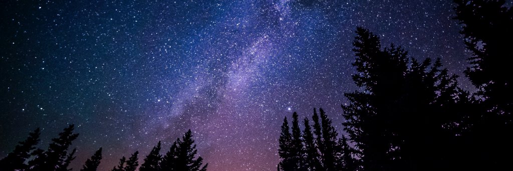 Danielle DeLatte, PhD banner