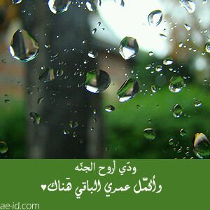 UmEl7seeny's profile banner image