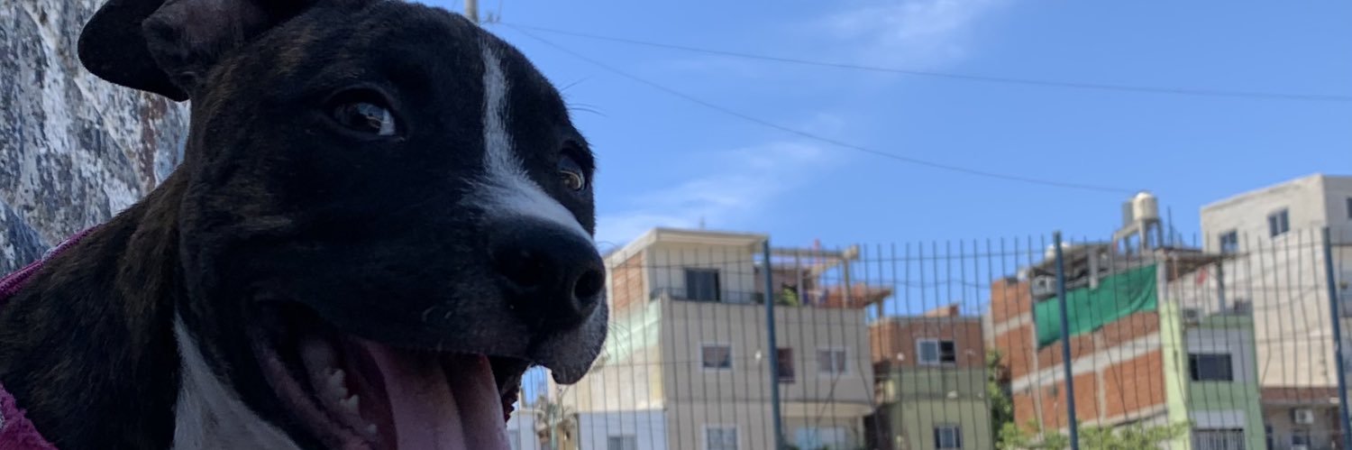 Juaamnpa's profile banner image