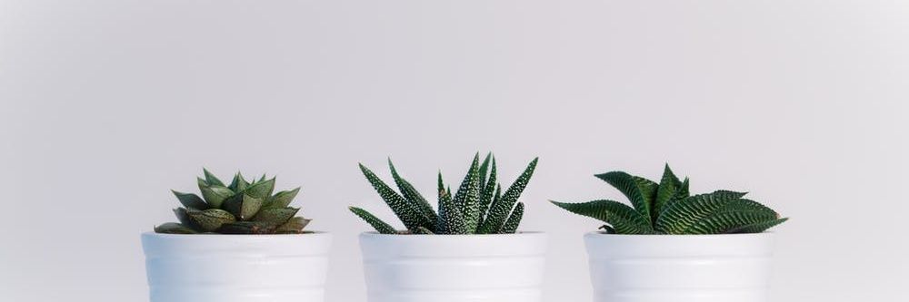 destama1's profile banner image