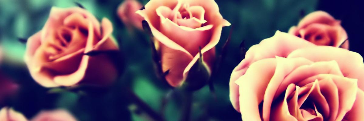 thatKRYSTELLE's profile banner image