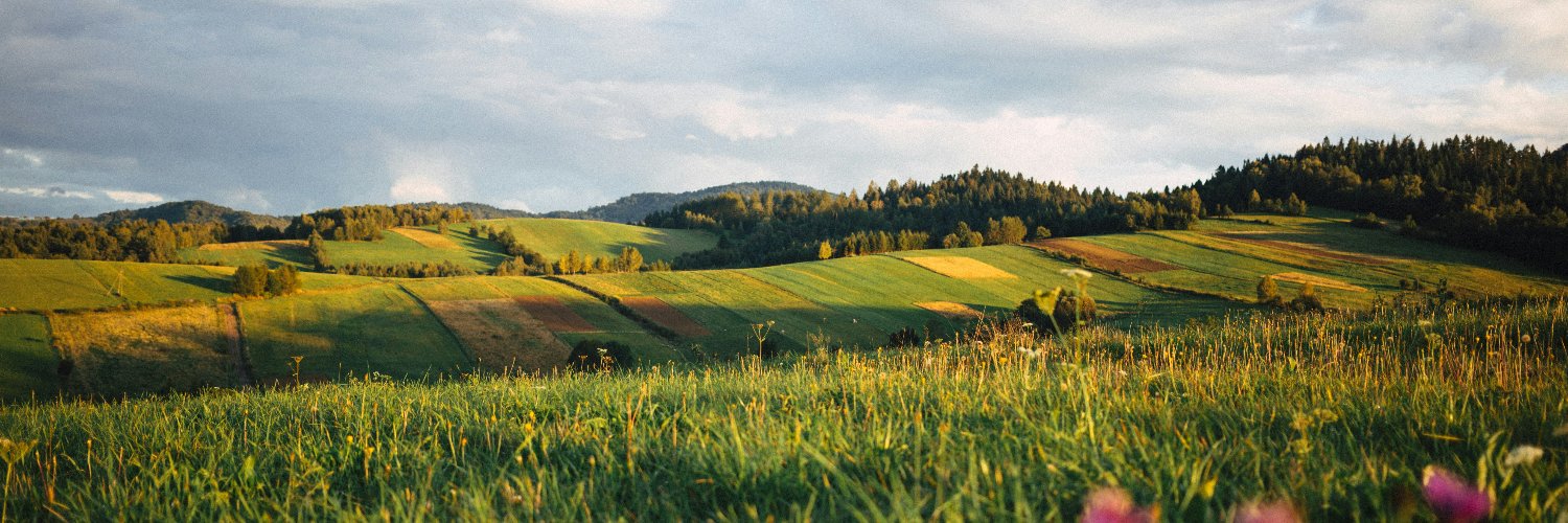 CZ Biom banner
