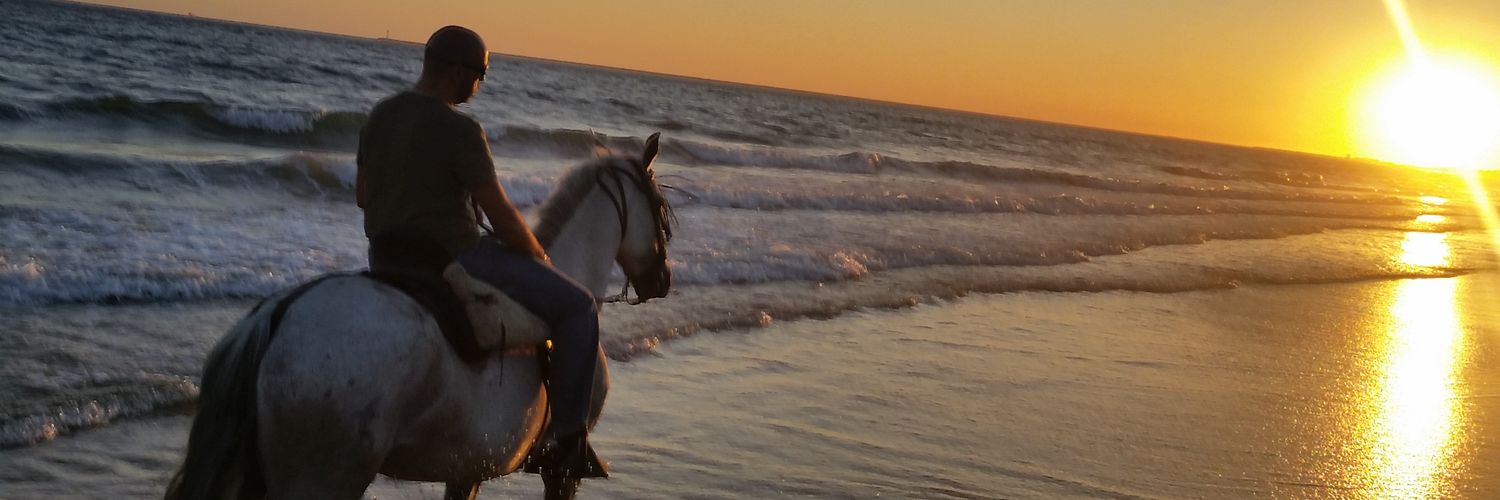 Miguel10toscano's profile banner image