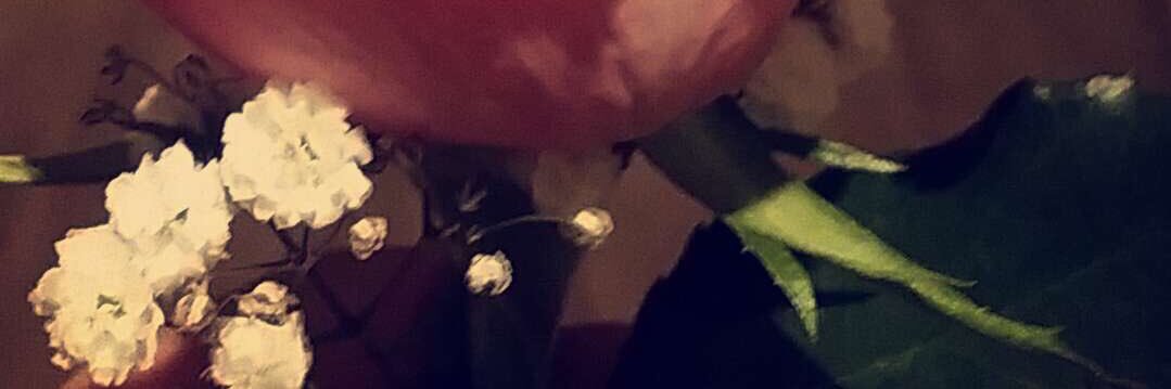 abu7ala890's profile banner image