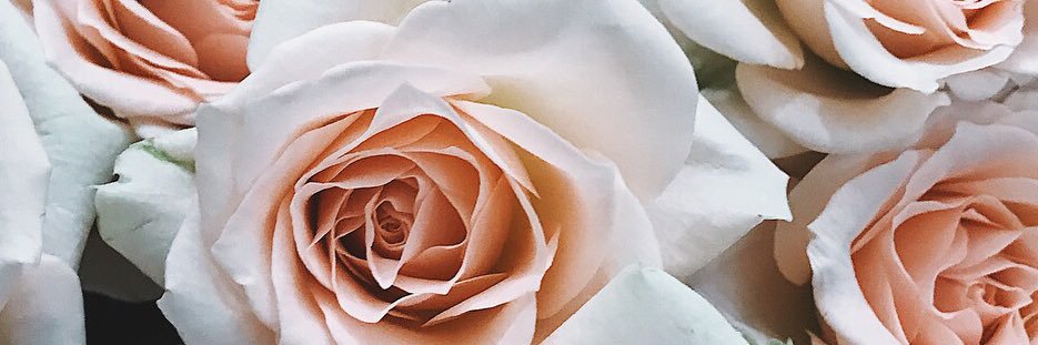 Zhenyyya's profile banner image