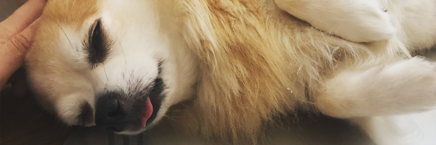 tmmcaby's profile banner image