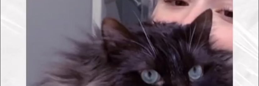 StephRowe_NT's profile banner image