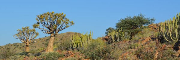 theMegnetic Profile Banner