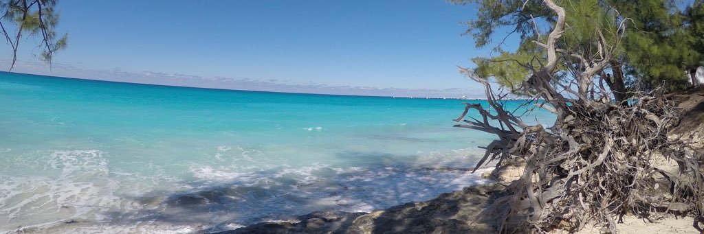 gbird_33's profile banner image