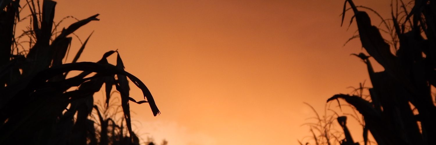 vopelitist's profile banner image