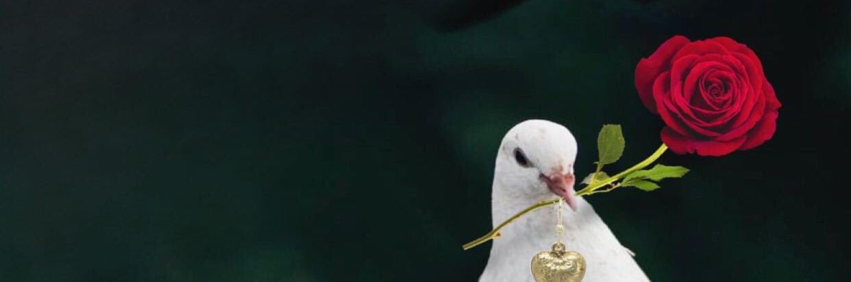 bohythem's profile banner image