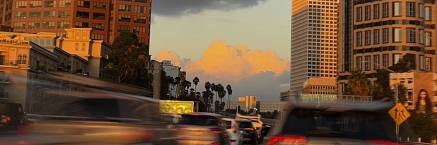 Ellie McElvain banner