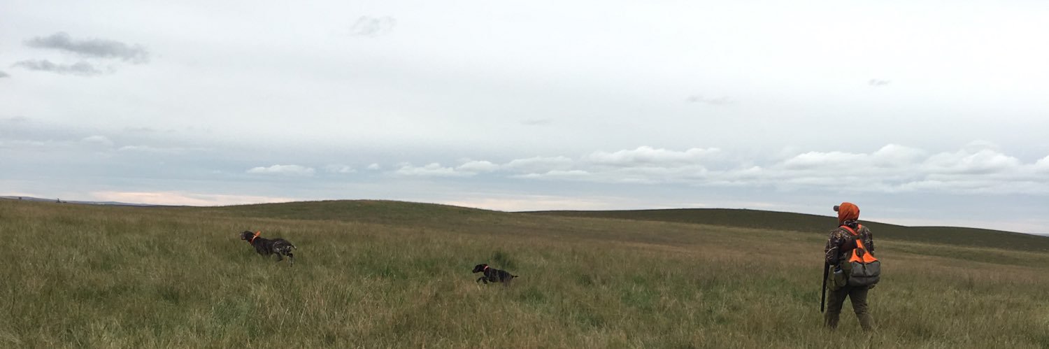 bradleybischof's profile banner image