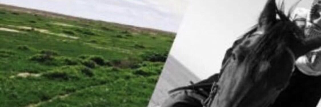 Nashmisz's profile banner image