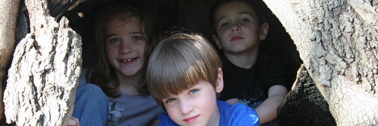 jwlohr's profile banner image