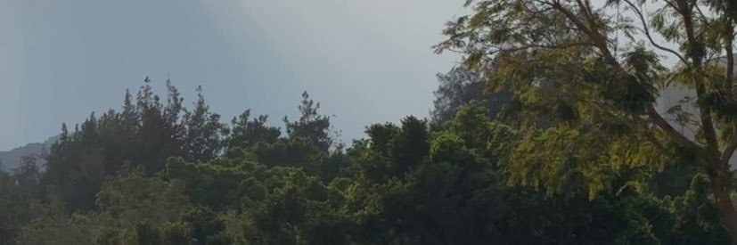 202AMMA's profile banner image