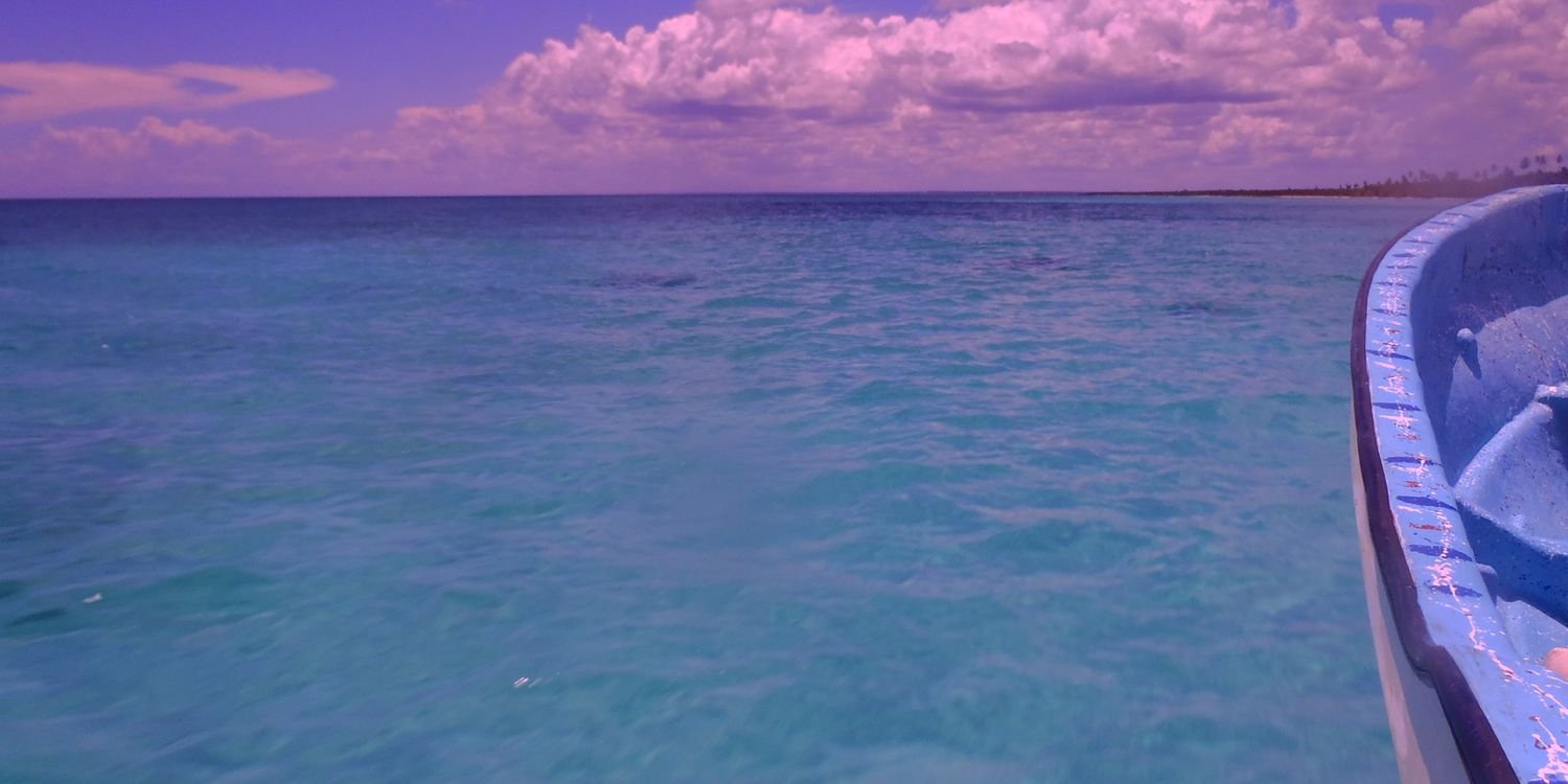 Zoe7419's profile banner image