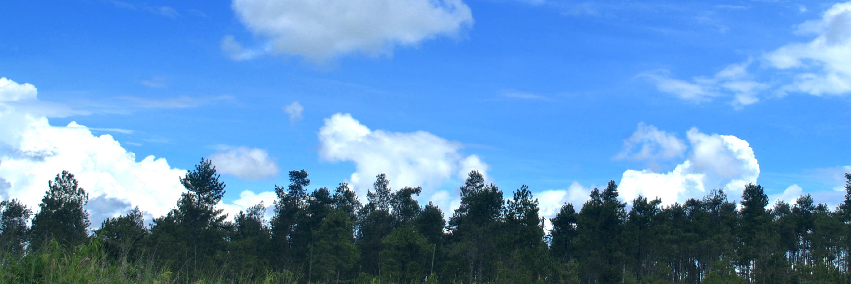 LewatDoa's profile banner image