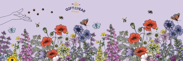 seed_ball Profile Banner