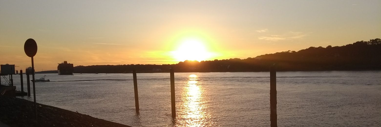 daobiemeredith's profile banner image