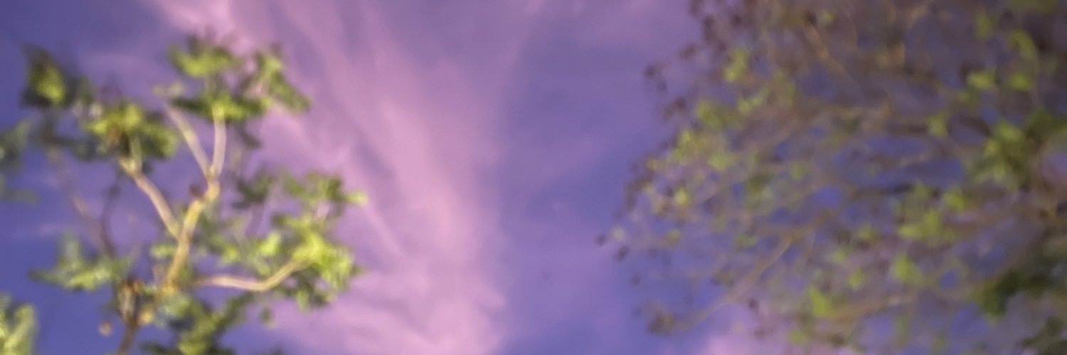AleGonz00's profile banner image