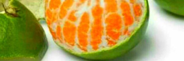 WokePandemic Profile Banner