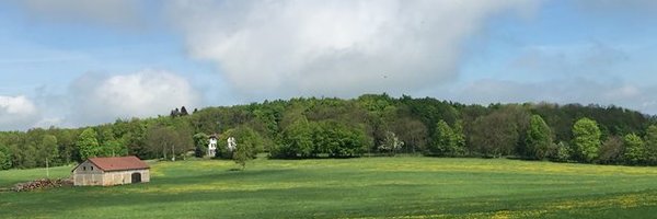 michalillich Profile Banner