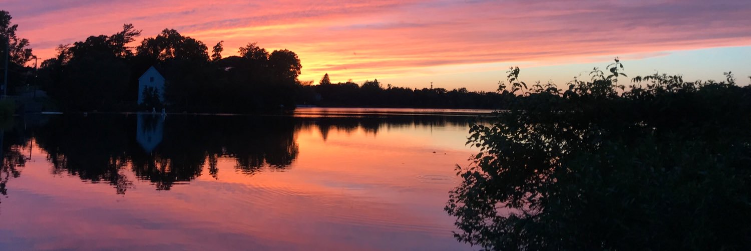 Moira Haberkern banner