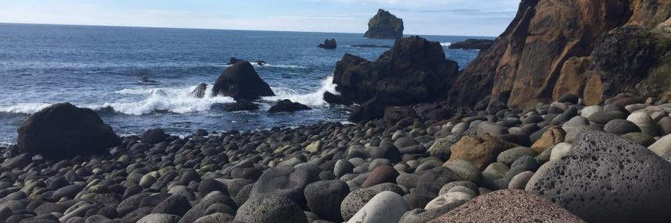 Sage Fox-Schaffer banner